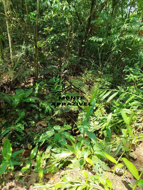 Foto 5 de Terreno / Lote à venda, 12000m2 em Quarta Divisão, Ribeirao Pires - SP