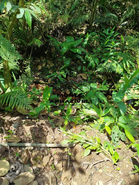 Foto 4 de Terreno / Lote à venda, 12000m2 em Quarta Divisão, Ribeirao Pires - SP