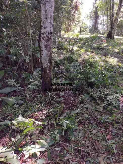 Foto 9 de Terreno / Lote à venda, 2000m2 em Barro Branco, Ribeirao Pires - SP