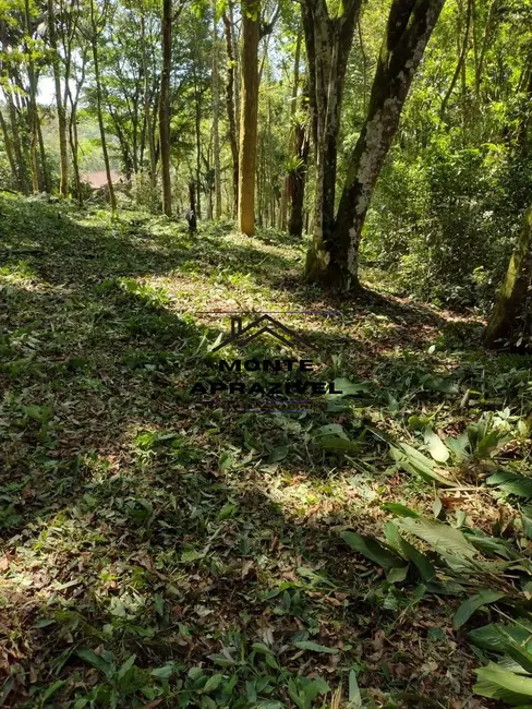 Foto 6 de Terreno / Lote à venda, 2000m2 em Barro Branco, Ribeirao Pires - SP
