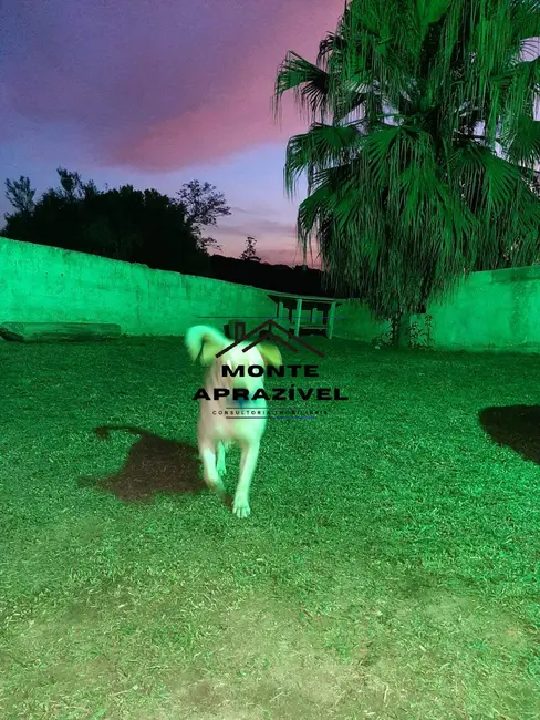 Foto 8 de Chácara com 3 quartos à venda, 1600m2 em Recanto São José, Suzano - SP