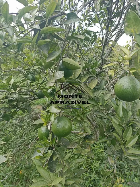 Foto 7 de Chácara com 3 quartos à venda, 2500m2 em Chácaras Casemiro, Suzano - SP