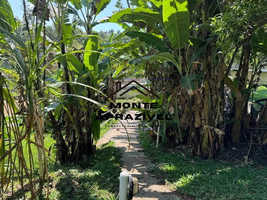 Foto 9 de Chácara com 2 quartos à venda, 7000m2 em Vila São Pedro, Suzano - SP