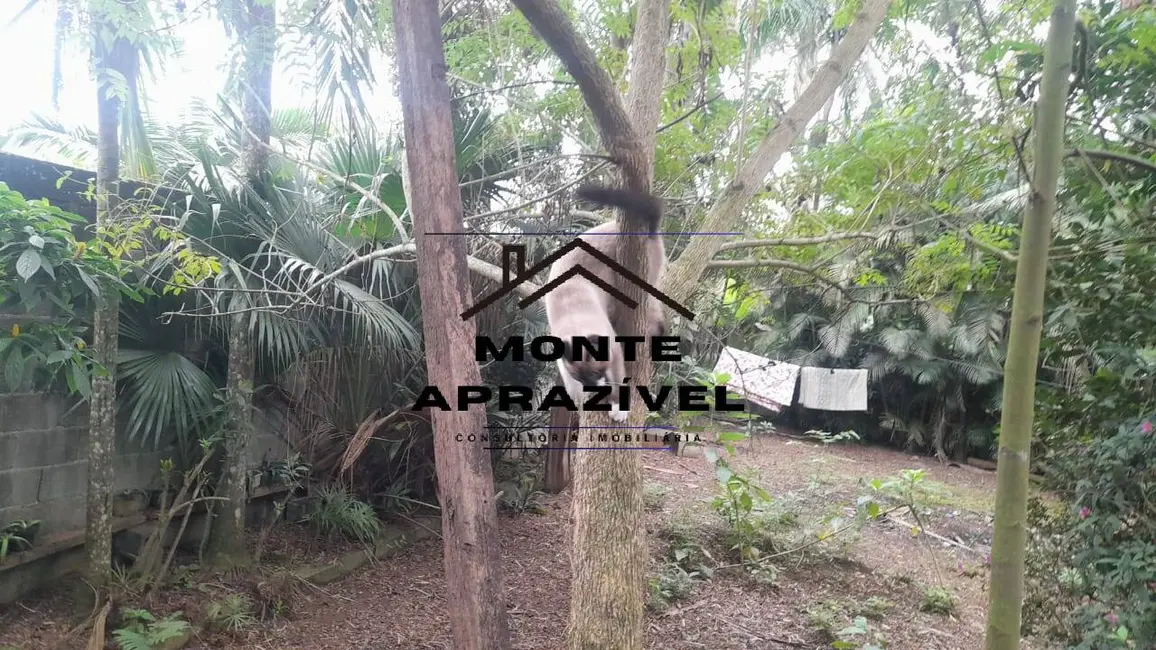 Terreno / Lote à venda, 4000m2 em Jardim Amazonas, Suzano - SP - imagem 5 Foto 5 de Terreno / Lote à venda, 4000m2 em Jardim Amazonas, Suzano - SP