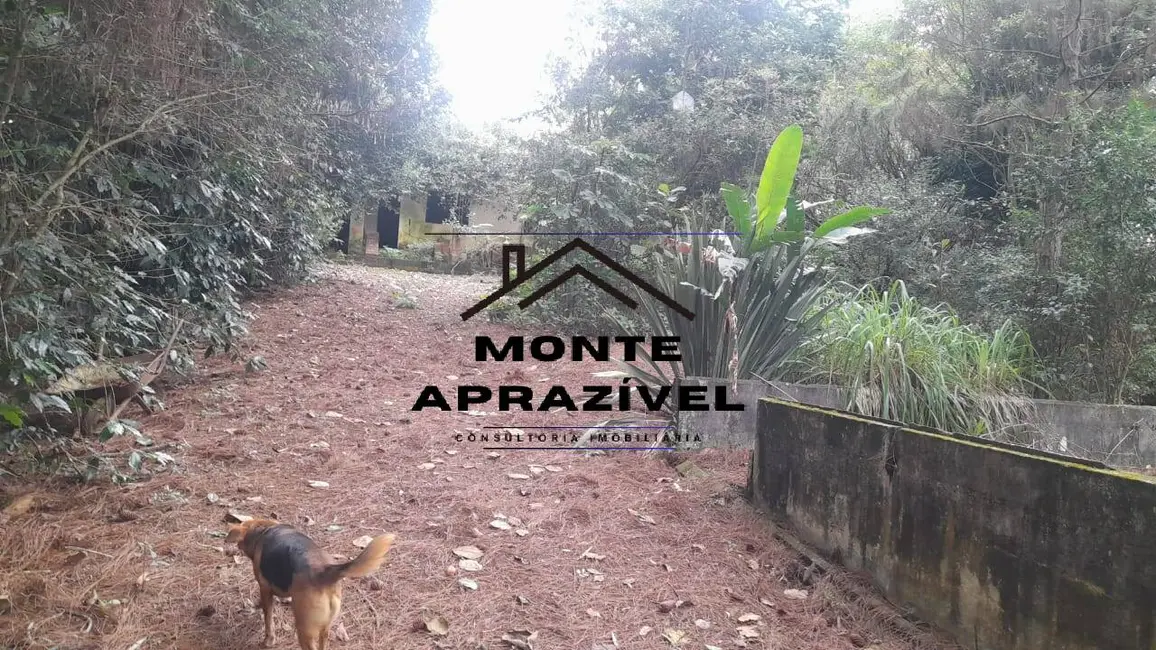 Terreno / Lote à venda, 4000m2 em Jardim Amazonas, Suzano - SP - imagem 9 Foto 9 de Terreno / Lote à venda, 4000m2 em Jardim Amazonas, Suzano - SP