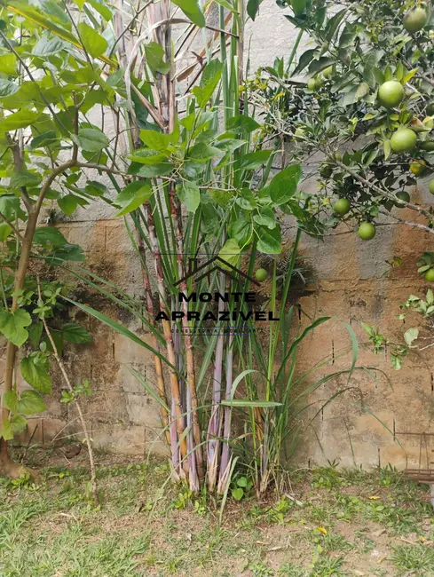 Foto 9 de Casa com 1 quarto à venda, 300m2 em Ipelândia, Suzano - SP