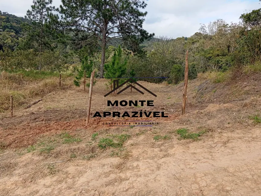 Terreno / Lote à venda, 542m2 em Chácara Boa Vista Palmeiras, Suzano - SP - imagem 8 Foto 8 de Terreno / Lote à venda, 542m2 em Chácara Boa Vista Palmeiras, Suzano - SP