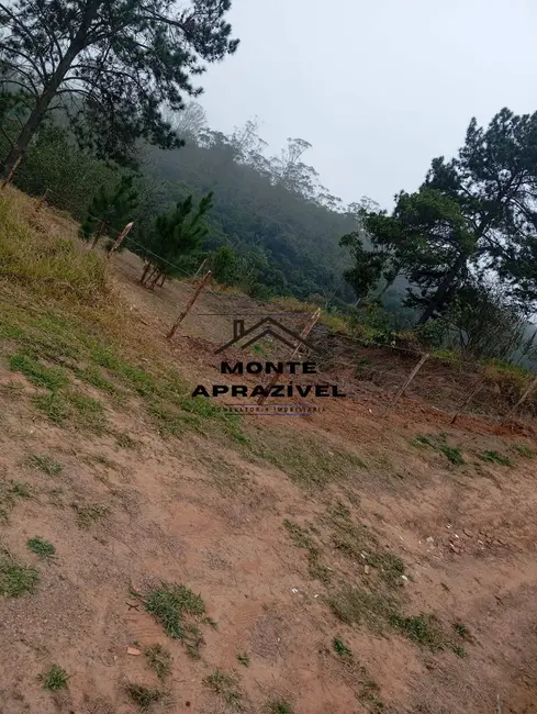 Terreno / Lote à venda, 542m2 em Chácara Boa Vista Palmeiras, Suzano - SP - imagem 3 Foto 3 de Terreno / Lote à venda, 542m2 em Chácara Boa Vista Palmeiras, Suzano - SP