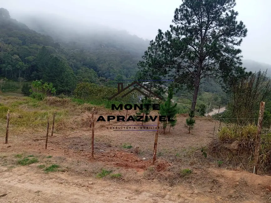 Terreno / Lote à venda, 542m2 em Chácara Boa Vista Palmeiras, Suzano - SP - imagem 9 Foto 9 de Terreno / Lote à venda, 542m2 em Chácara Boa Vista Palmeiras, Suzano - SP