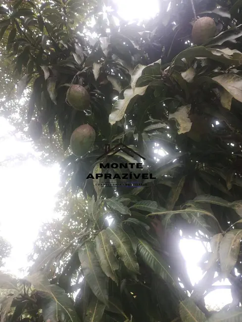 Chácara com 7 quartos à venda, 5800m2 em Quatinga, Mogi Das Cruzes - SP - imagem 5 Foto 5 de Chácara com 7 quartos à venda, 5800m2 em Quatinga, Mogi Das Cruzes - SP