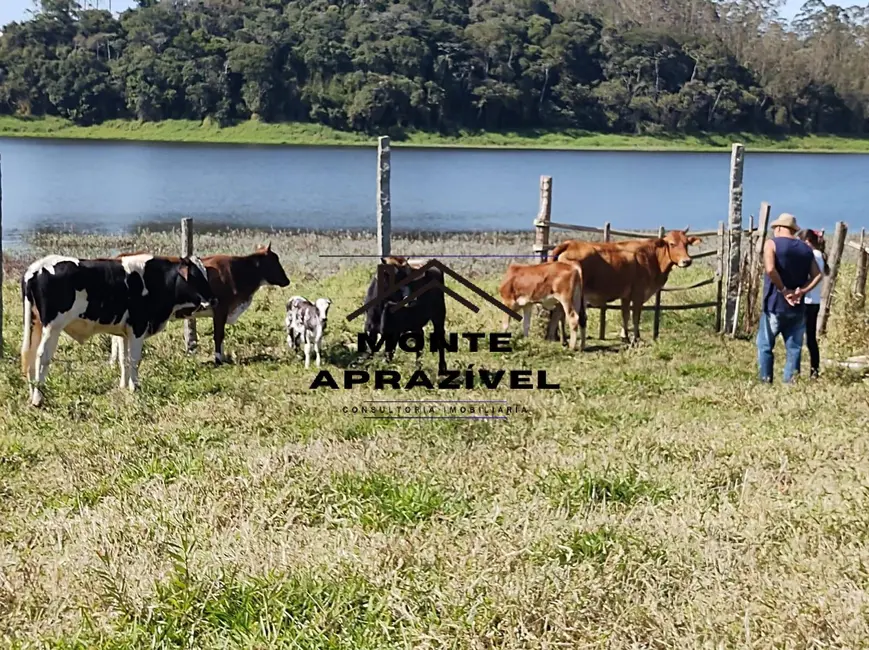 Chácara com 4 quartos à venda, 4800m2 em Taiaçupeba, Mogi Das Cruzes - SP - imagem 9 Foto 9 de Chácara com 4 quartos à venda, 4800m2 em Taiaçupeba, Mogi Das Cruzes - SP