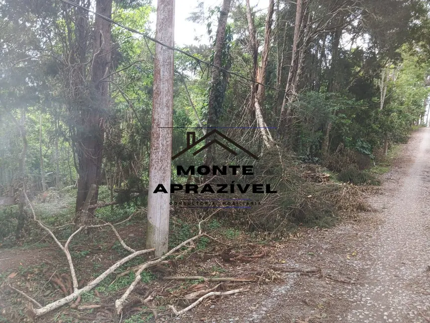 Terreno / Lote à venda, 10963m2 em Jardim São Luís, Suzano - SP - imagem 6 Foto 6 de Terreno / Lote à venda, 10963m2 em Jardim São Luís, Suzano - SP