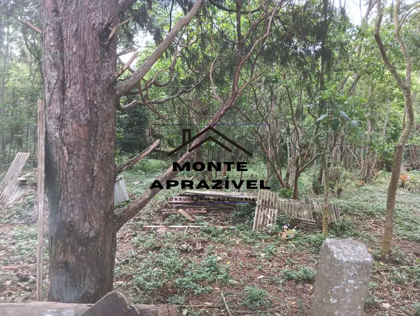 Terreno / Lote à venda, 10963m2 em Jardim São Luís, Suzano - SP - imagem 7 Foto 7 de Terreno / Lote à venda, 10963m2 em Jardim São Luís, Suzano - SP