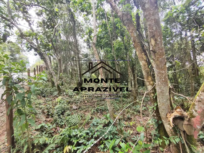 Foto 4 de Terreno / Lote à venda, 2500m2 em Ribeirao Pires - SP