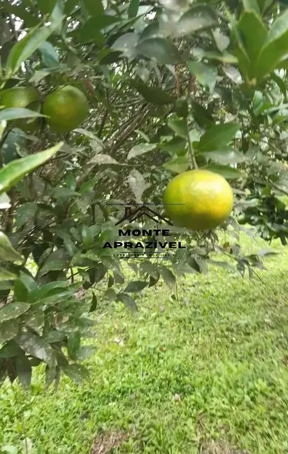 Foto 2 de Chácara com 5 quartos à venda, 2800m2 em Vila Figueiredo, Rio Grande Da Serra - SP