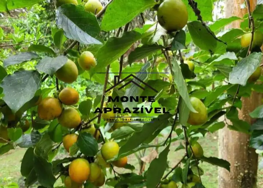 Foto 9 de Chácara com 5 quartos à venda, 2800m2 em Vila Figueiredo, Rio Grande Da Serra - SP