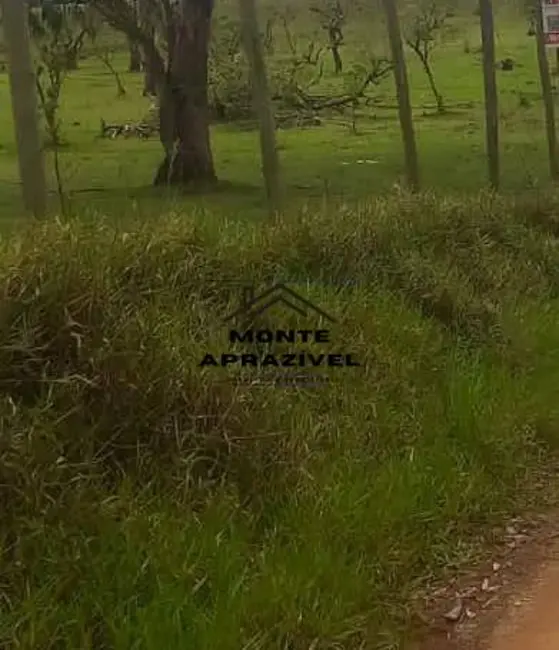 Foto 8 de Terreno / Lote à venda, 1000m2 em Ipelândia, Suzano - SP