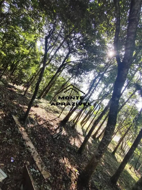 Terreno / Lote à venda, 1200m2 em Jardim São Paulo, Suzano - SP - imagem 6 Foto 6 de Terreno / Lote à venda, 1200m2 em Jardim São Paulo, Suzano - SP