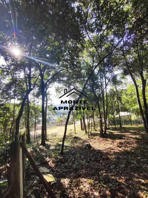 Terreno / Lote à venda, 1200m2 em Jardim São Paulo, Suzano - SP - imagem 3 Foto 3 de Terreno / Lote à venda, 1200m2 em Jardim São Paulo, Suzano - SP