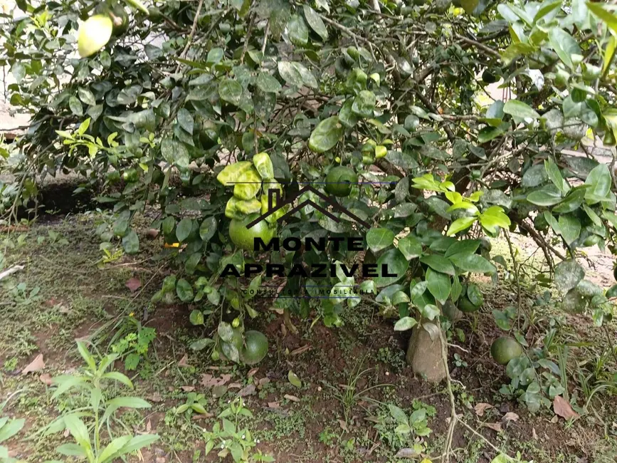 Foto 9 de Chácara com 3 quartos à venda, 1100m2 em Jardim Ikeda, Suzano - SP
