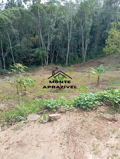 Foto 4 de Chácara com 2 quartos à venda, 6000m2 em Estância Angelina, Suzano - SP