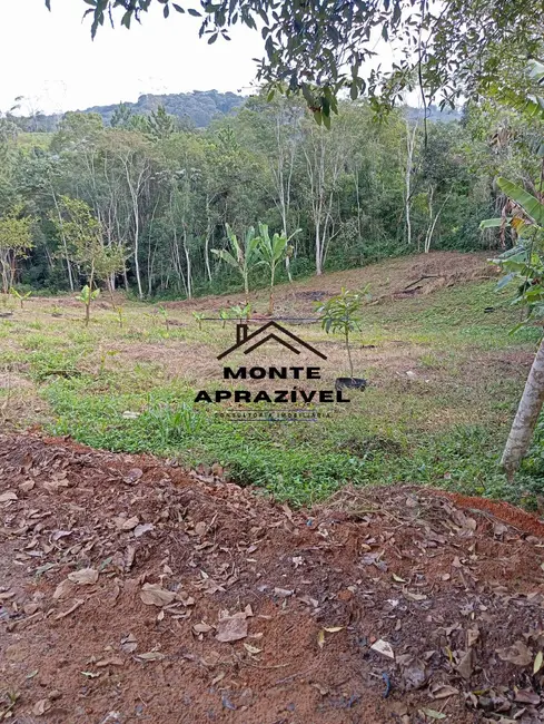 Foto 2 de Chácara com 2 quartos à venda, 6000m2 em Estância Angelina, Suzano - SP