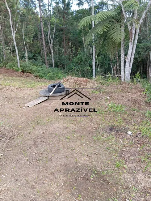 Foto 9 de Chácara com 2 quartos à venda, 6000m2 em Estância Angelina, Suzano - SP