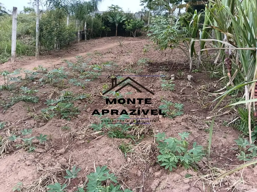 Chácara com 1 quarto à venda, 1500m2 em Vila Costa, Suzano - SP - imagem 3 Foto 3 de Chácara com 1 quarto à venda, 1500m2 em Vila Costa, Suzano - SP
