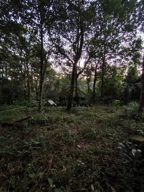 Terreno / Lote à venda, 2713m2 em Centro de Ouro Fino Paulista, Ribeirao Pires - SP - imagem 8 Foto 8 de Terreno / Lote à venda, 2713m2 em Centro de Ouro Fino Paulista, Ribeirao Pires - SP