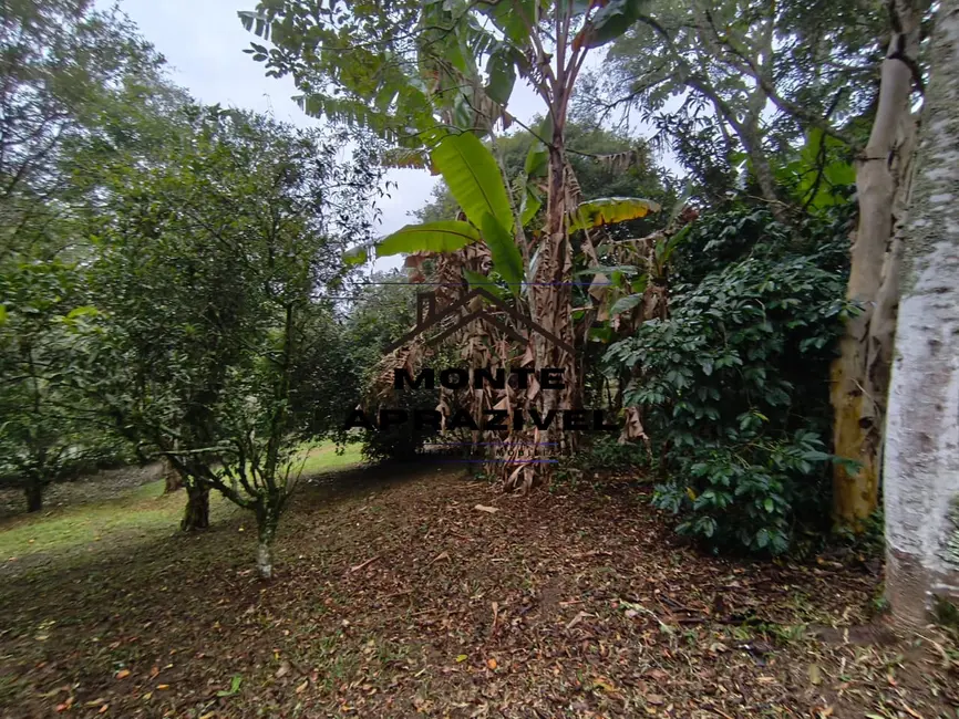 Chácara com 2 quartos à venda, 2388m2 em Estância Tijuco Preto, Suzano - SP - imagem 5 Foto 5 de Chácara com 2 quartos à venda, 2388m2 em Estância Tijuco Preto, Suzano - SP