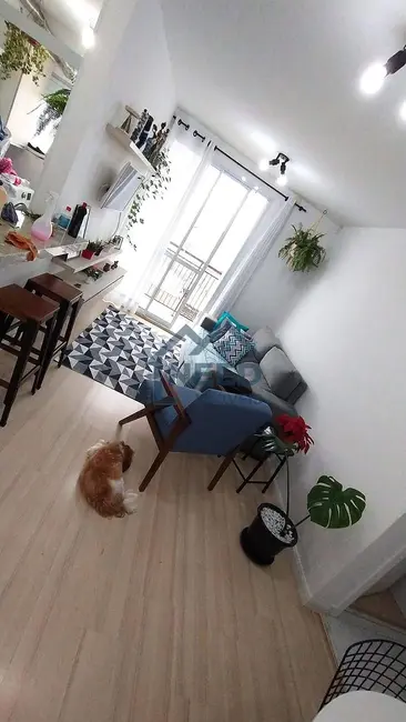 Foto 3 de Apartamento com 1 quarto à venda, 39m2 em Vila Carioca, São Paulo - SP