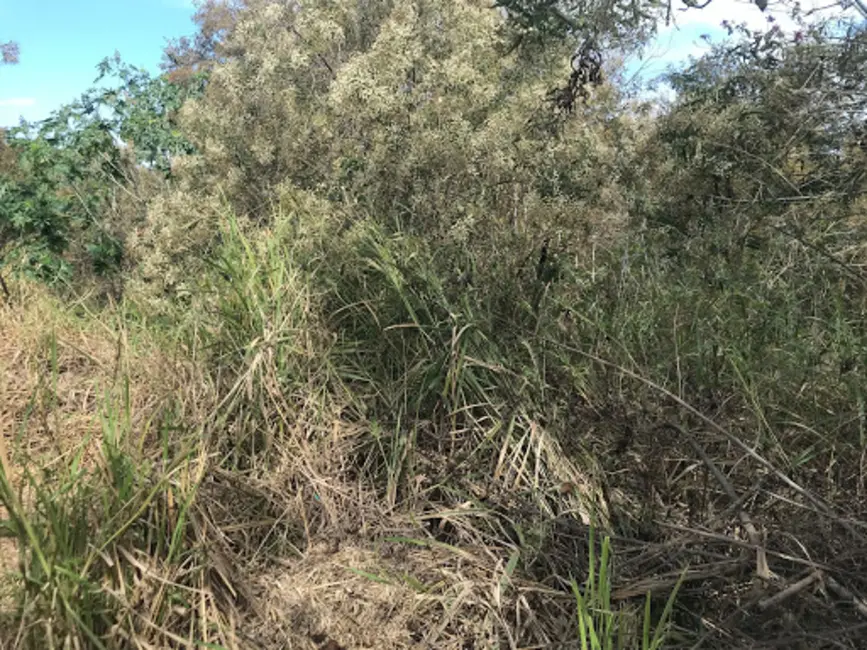 Foto 1 de Terreno / Lote à venda, 216m2 em Jardim das Cerejeiras, Atibaia - SP