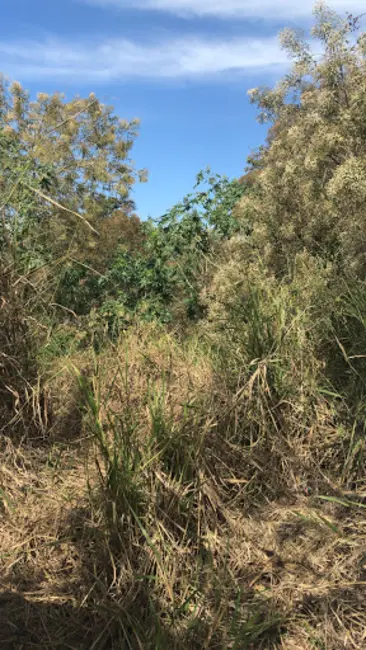 Terreno / Lote à venda, 216m2 em Jardim das Cerejeiras, Atibaia - SP - imagem 3 Foto 3 de Terreno / Lote à venda, 216m2 em Jardim das Cerejeiras, Atibaia - SP