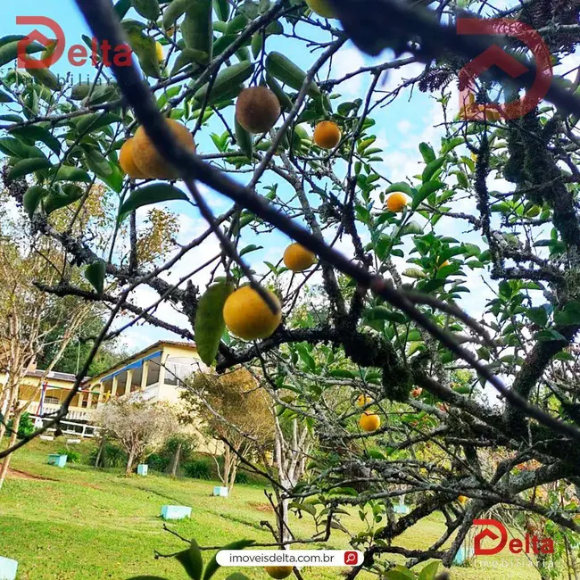 Chácara com 5 quartos à venda, 5000m2 em Jardim Cumbica, Guarulhos - SP - imagem 5 Foto 5 de Chácara com 5 quartos à venda, 5000m2 em Jardim Cumbica, Guarulhos - SP