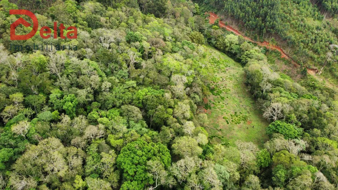 Foto 8 de Terreno / Lote à venda, 40000m2 em Nazare Paulista - SP