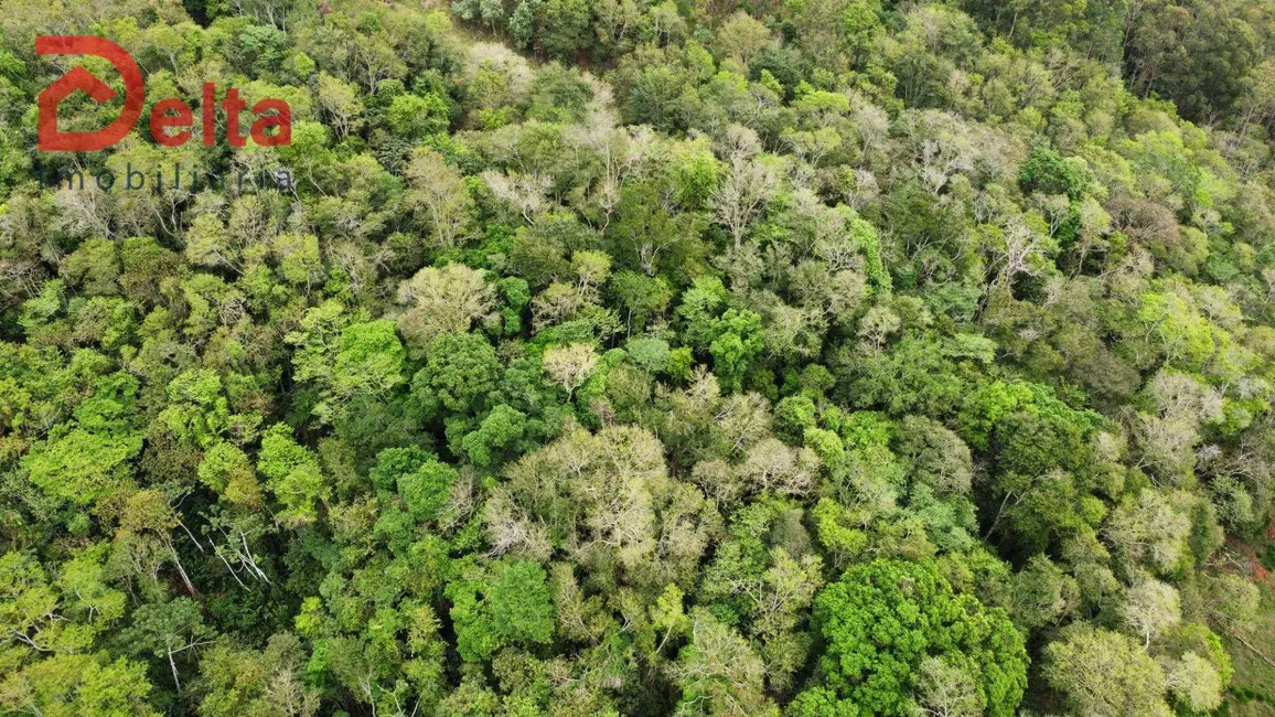 Foto 7 de Terreno / Lote à venda, 40000m2 em Nazare Paulista - SP