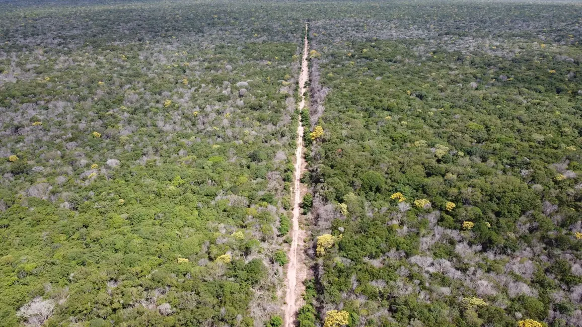 Foto 4 de Fazenda / Haras com 1 quarto à venda, 19287m2 em Centro, Sapezal - MT