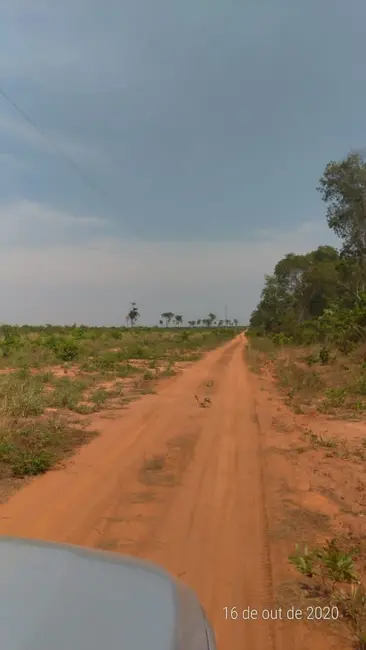 Fazenda / Haras com 1 quarto à venda, 36200m2 em Centro, Nova Ubirata - MT - imagem 4 Foto 4 de Fazenda / Haras com 1 quarto à venda, 36200m2 em Centro, Nova Ubirata - MT