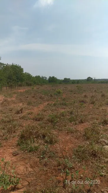 Fazenda / Haras com 1 quarto à venda, 36200m2 em Centro, Nova Ubirata - MT - imagem 7 Foto 7 de Fazenda / Haras com 1 quarto à venda, 36200m2 em Centro, Nova Ubirata - MT