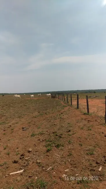 Fazenda / Haras com 1 quarto à venda, 36200m2 em Centro, Nova Ubirata - MT - imagem 3 Foto 3 de Fazenda / Haras com 1 quarto à venda, 36200m2 em Centro, Nova Ubirata - MT