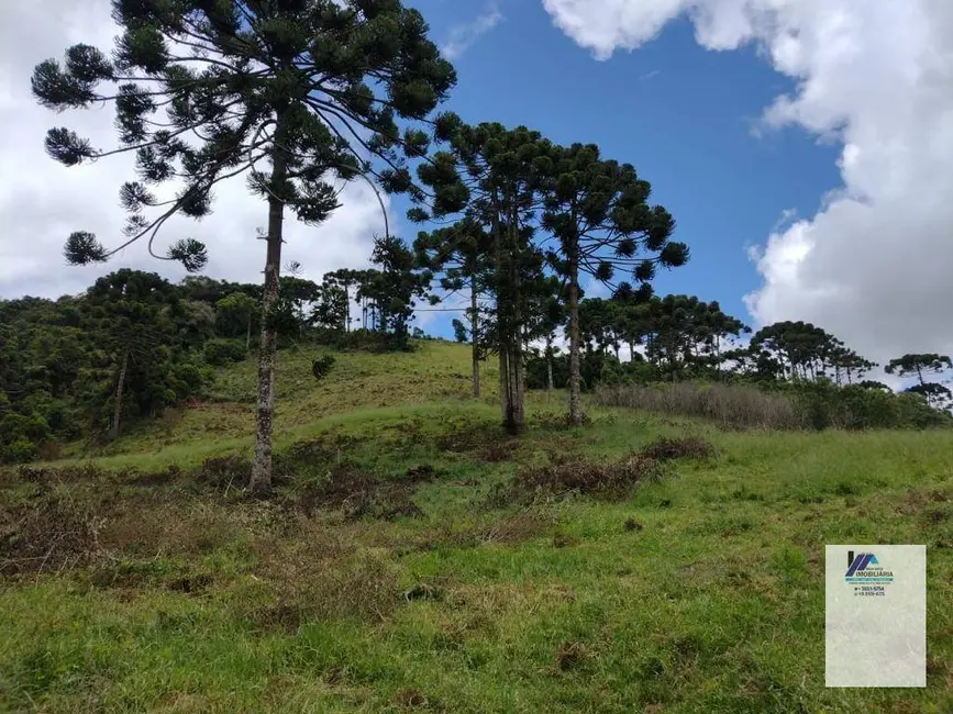 Foto 7 de Fazenda / Haras à venda, 2980000m2 em Serranos - MG