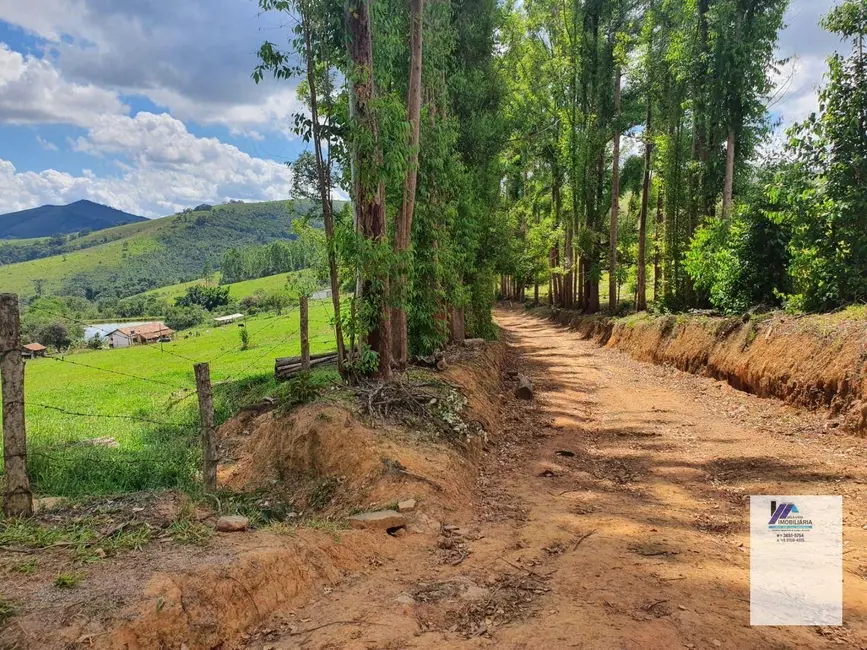 Foto 2 de Fazenda / Haras à venda, 2980000m2 em Serranos - MG