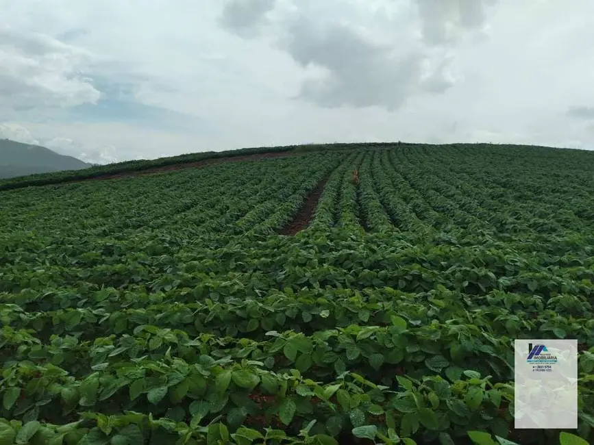 Foto 3 de Sítio / Rancho à venda, 1936000m2 em Pocos De Caldas - MG
