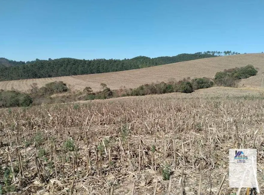 Foto 6 de Sítio / Rancho à venda, 2178000m2 em Andradas - MG