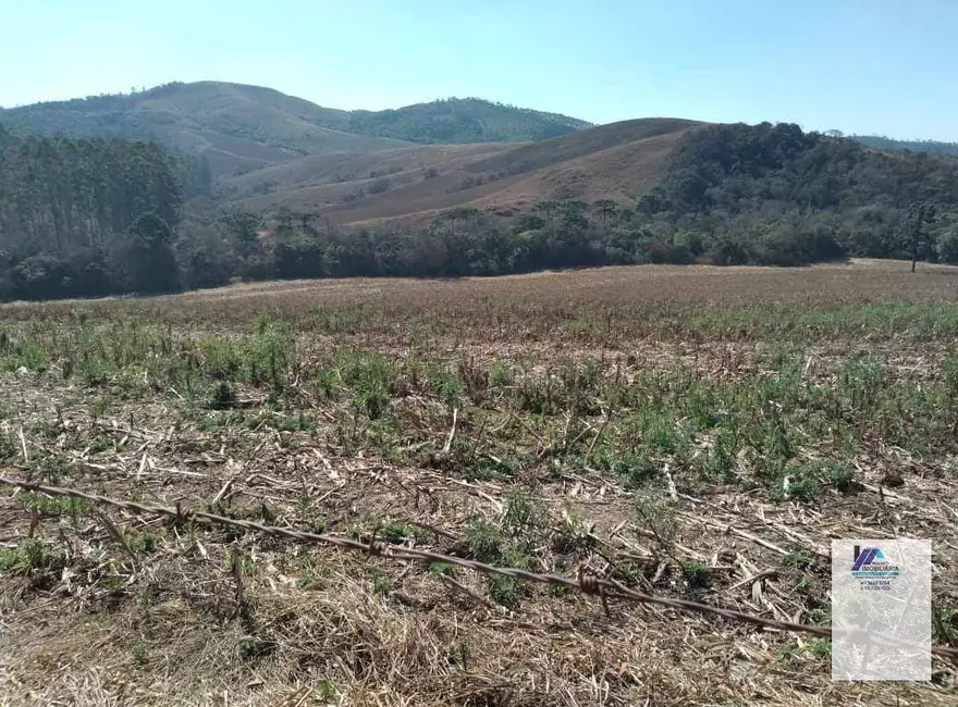 Foto 5 de Sítio / Rancho à venda, 2178000m2 em Andradas - MG