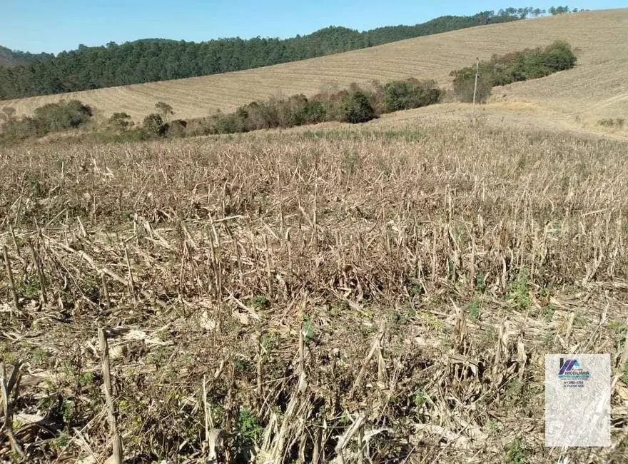 Foto 4 de Sítio / Rancho à venda, 2178000m2 em Andradas - MG