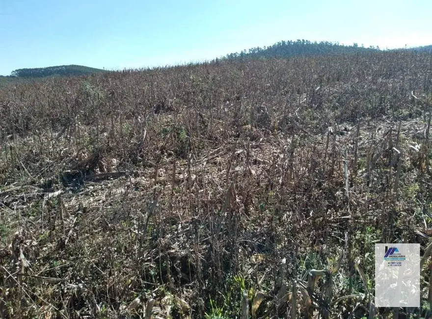 Foto 3 de Sítio / Rancho à venda, 2178000m2 em Andradas - MG