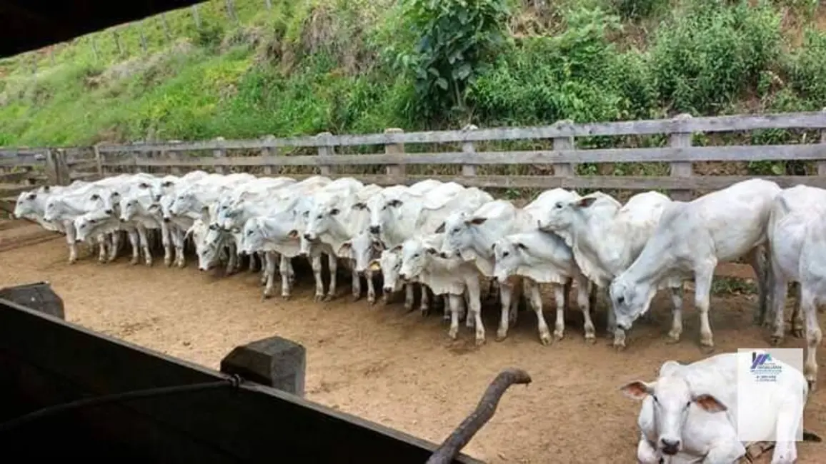 Foto 1 de Fazenda / Haras à venda, 2500000m2 em Pouso Alegre - MG