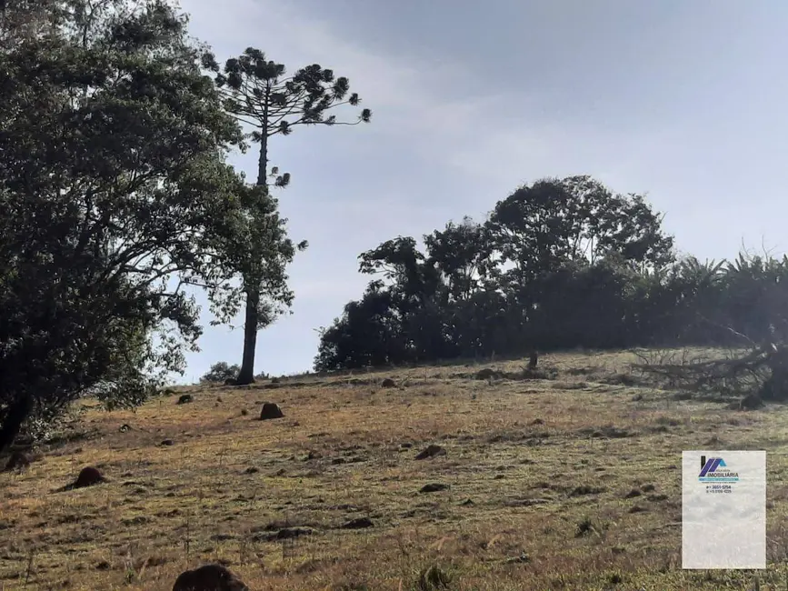 Foto 4 de Sítio / Rancho à venda, 338800m2 em Ouro Fino - MG