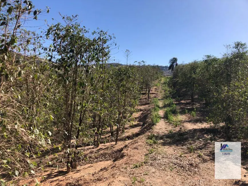 Sítio / Rancho à venda, 157300m2 em Espirito Santo Do Pinhal - SP - imagem 8 Foto 8 de Sítio / Rancho à venda, 157300m2 em Espirito Santo Do Pinhal - SP